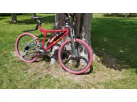 proflex 856 mountain bike